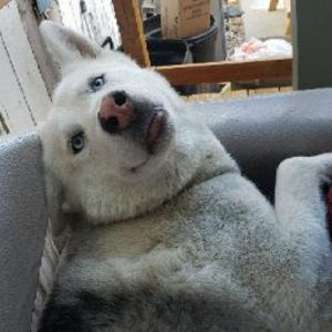 Meet your Posher, Hailey